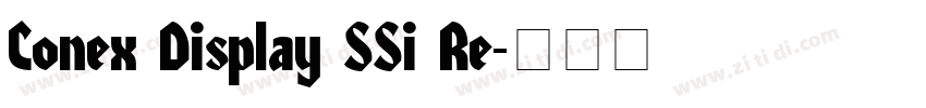 Conex Display SSi Re字体转换